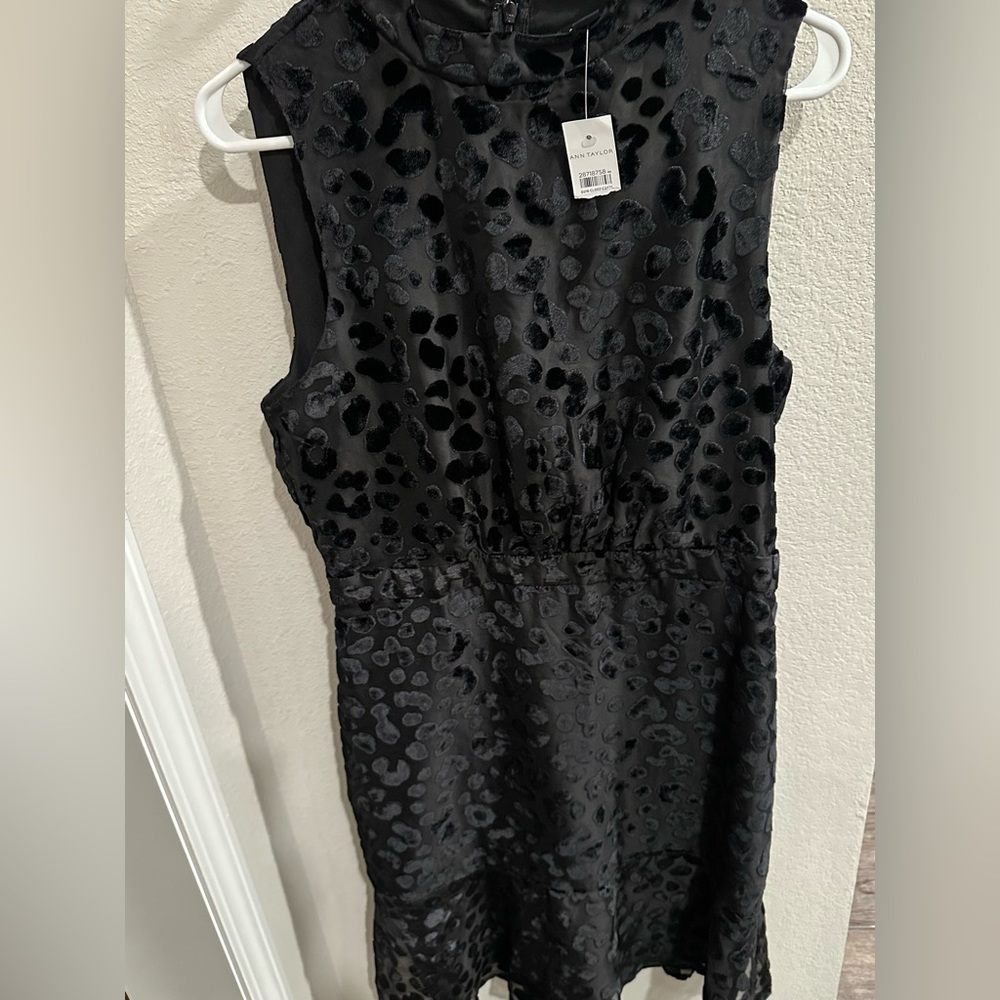 Ann Taylor velvet spotted dress